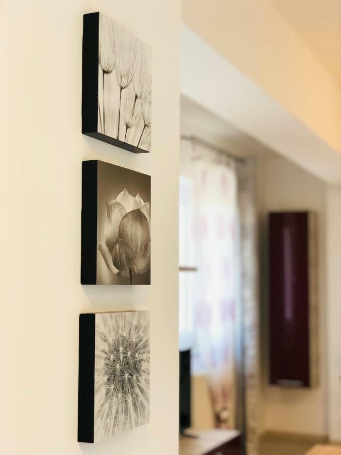 Eme Apartments Brašov Exteriér fotografie